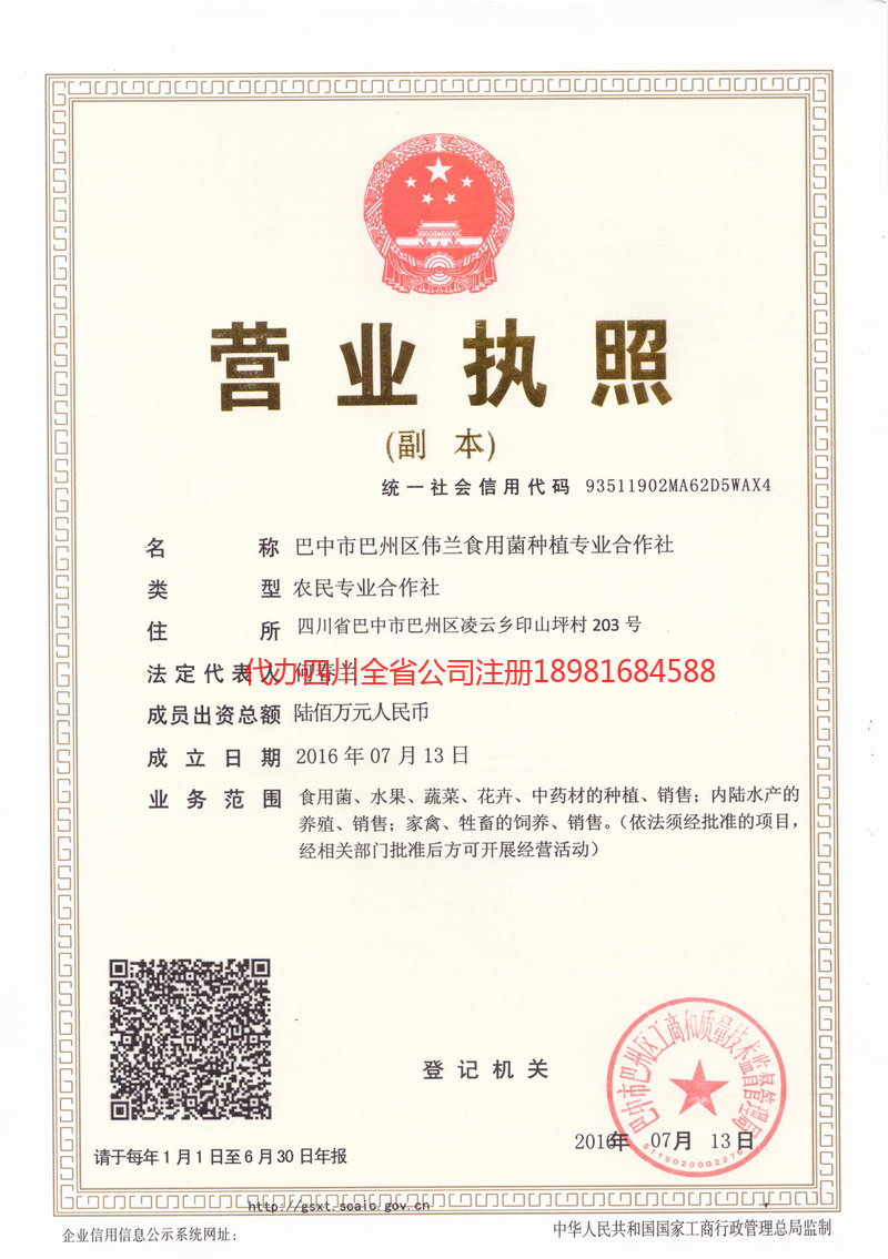 邯郸邯郸伟兰食用菌种植专业合作社